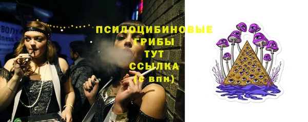 ПСИЛОЦИБИНОВЫЕ ГРИБЫ Белокуриха