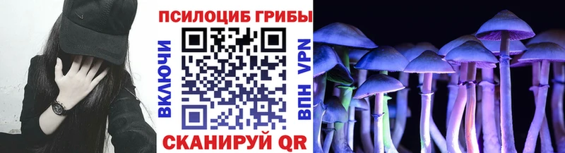 Псилоцибиновые грибы MAGIC MUSHROOMS Курганинск